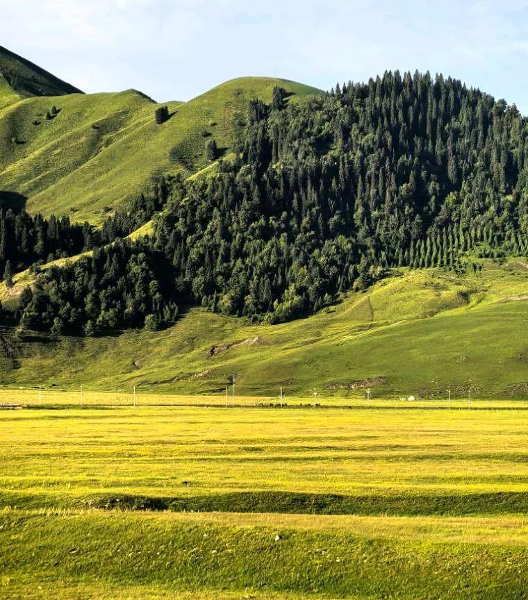 水货领导的几个显著特征:
1、专业能力不足
2、决策犹豫不决
3、交流沟通混乱