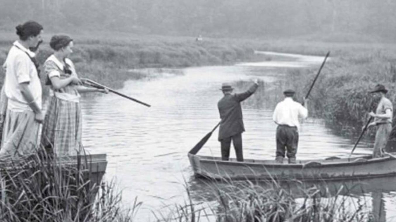 美国1916年多起海洋生物袭人事件引发恐慌，官方悬赏渔民捕杀鲨鱼