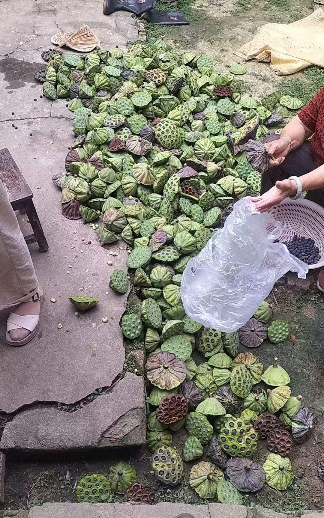 “三个孩子我不和你们争了，
你们养吧，
抚养费我也不会给。
给钱吧，孩子用不到，