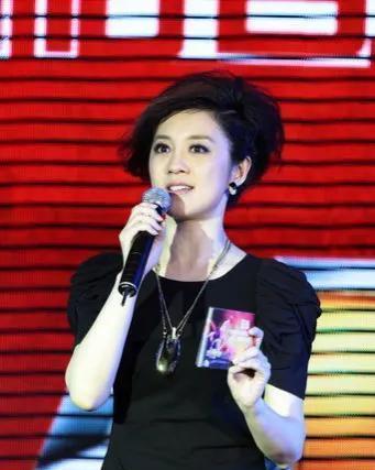 2004年，42岁的亿万富翁丁健爱上了著名主持人许戈辉，为此他决定和妻子离婚。