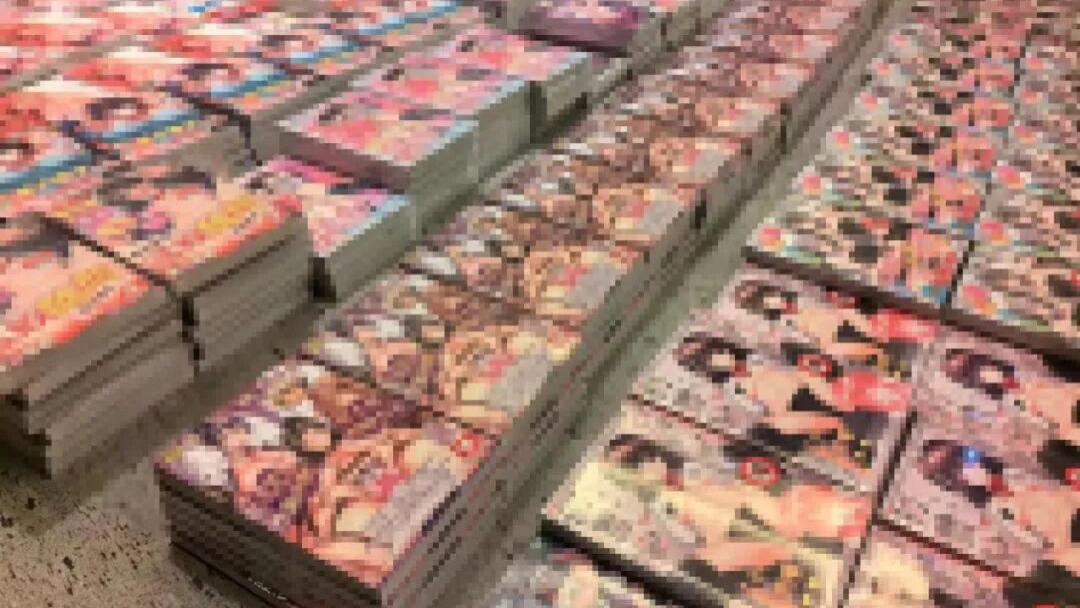 拱北海关三轮打击走私案 查获 25299 本淫秽书籍并抓获 21 人
