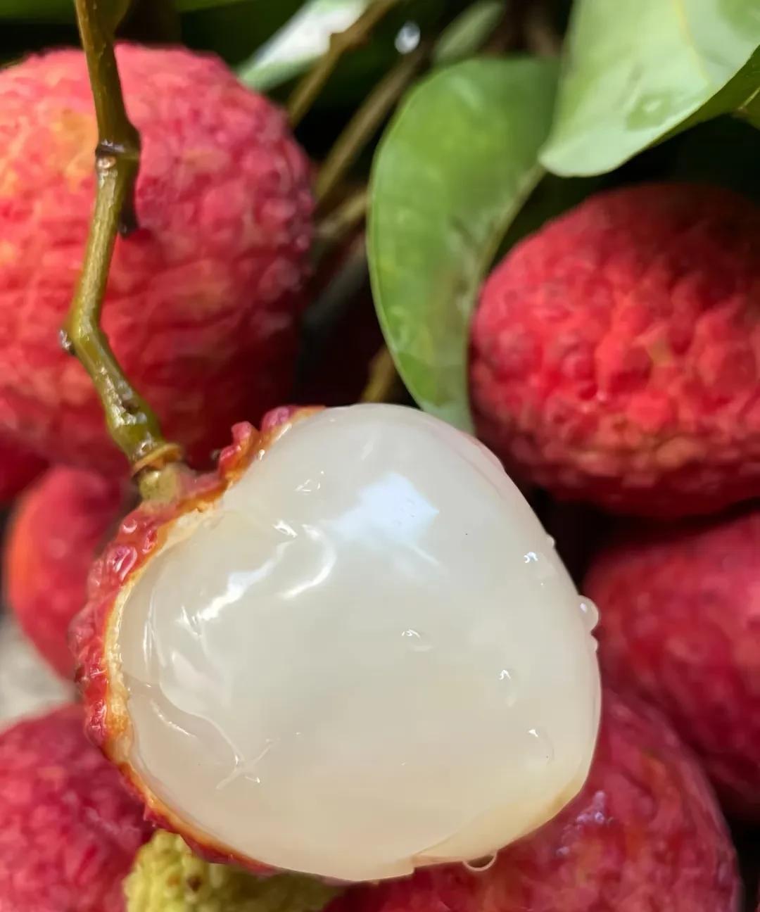 从《长安的荔枝》聊起，杨贵妃吃的荔枝到底从哪儿来、能不能运到长安？
先唠产地，历