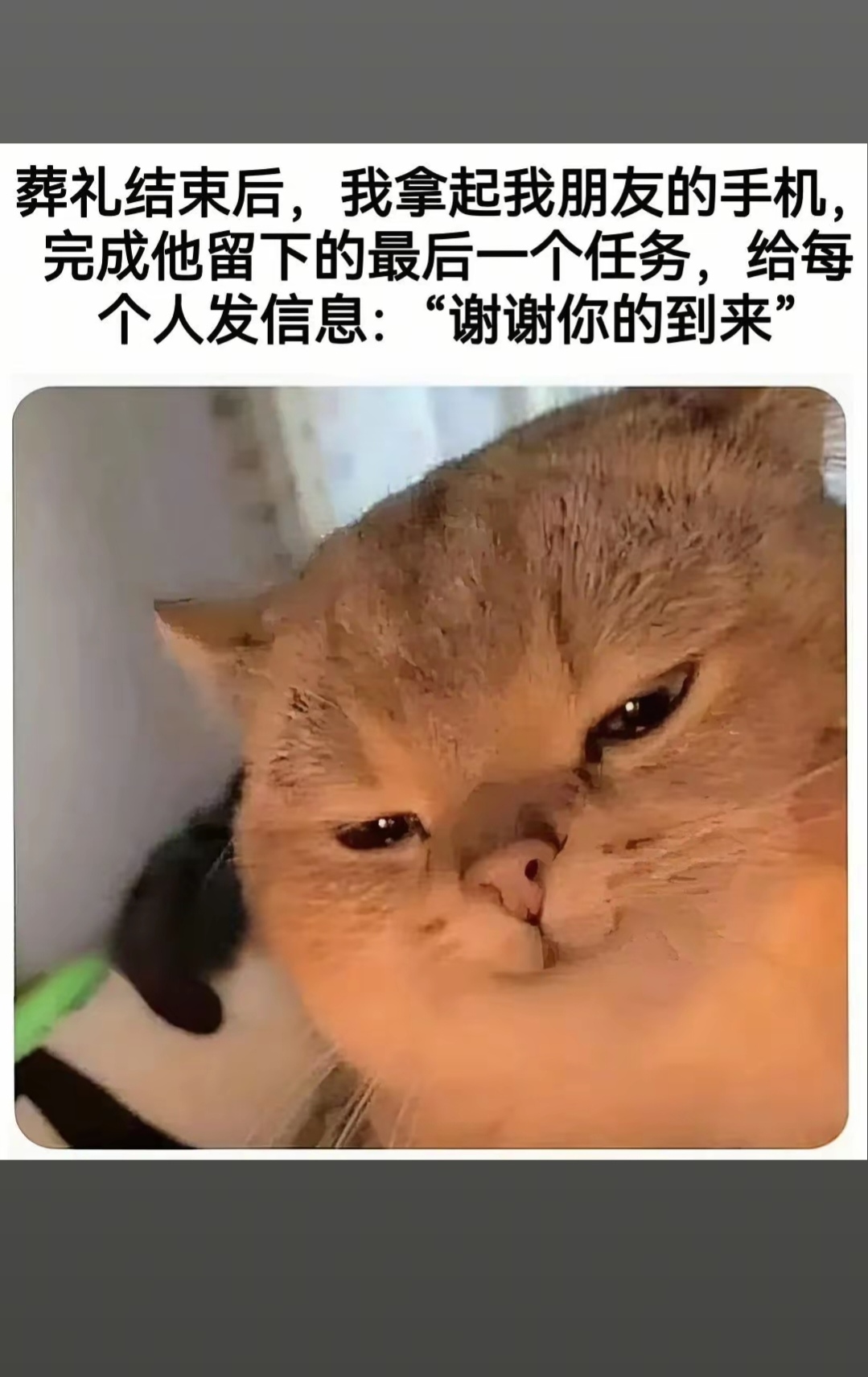 有点惊悚的味道了