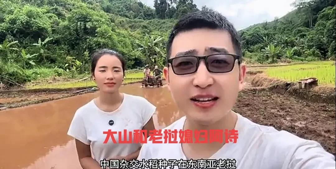 我国的杂交水稻，在东南亚老挝再次落地生根！
之所以强调再次，是因为去年小陈丈母娘