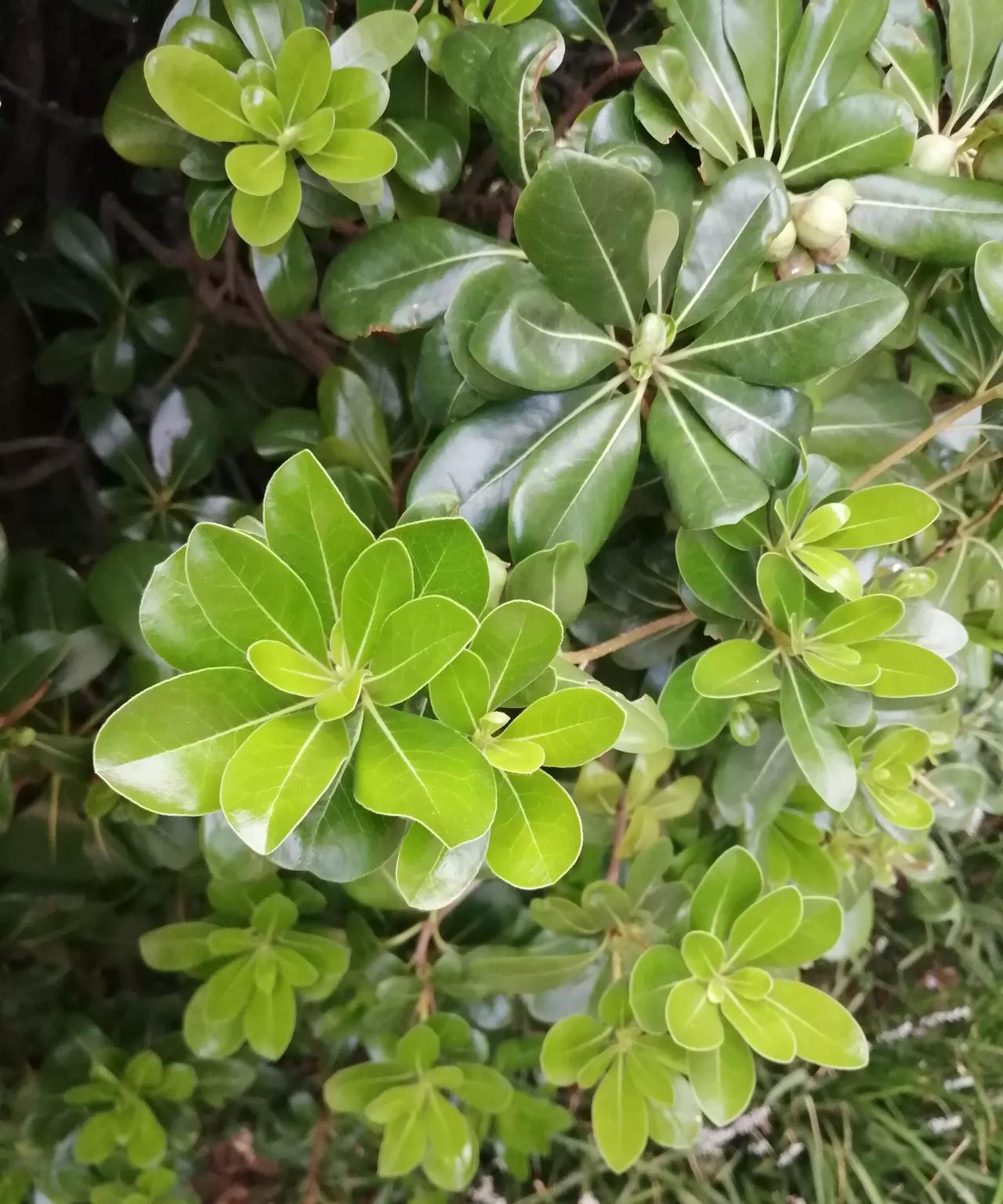 昨天晚上
好像下雨了
路面现在
还有一点积水
现在已经不下了