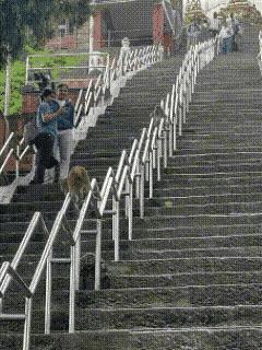 还是我们猴哥会玩，这种玩法都被他想到！比我们小时候聪明多了[捂脸][捂脸][捂脸