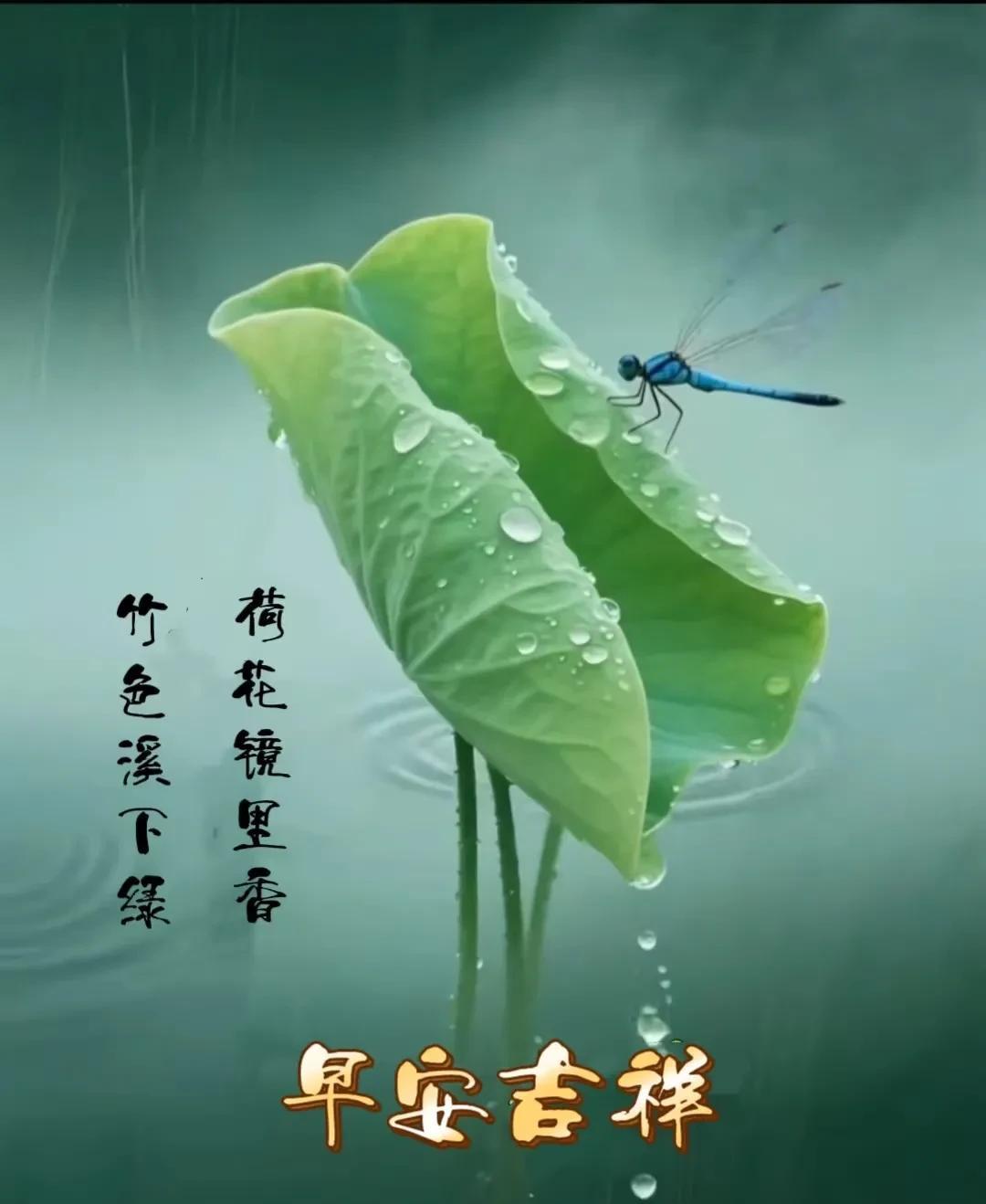 上联：望梅止渴晨夏荷，
下联：望饼充饥暮秋枫。