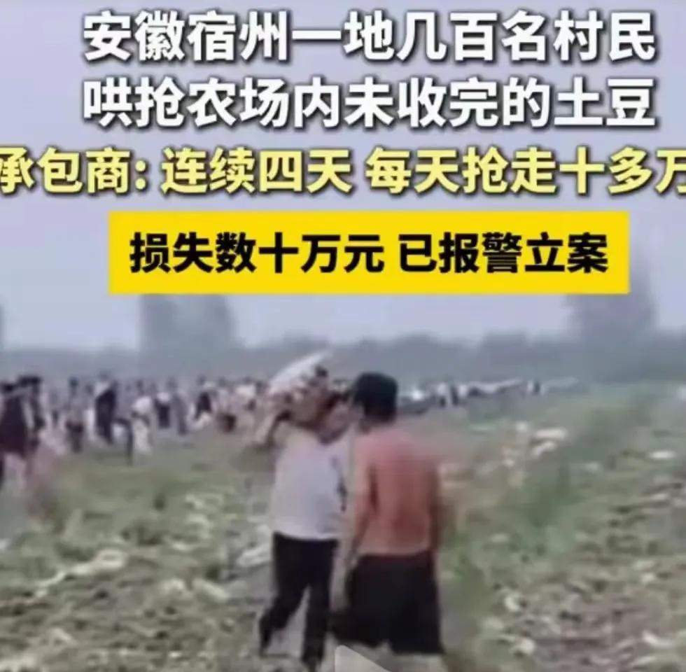 这算什么事儿，最近一段时间，安徽抢土豆，广西抢西瓜，徐州抢桃子，这要传到国外，人
