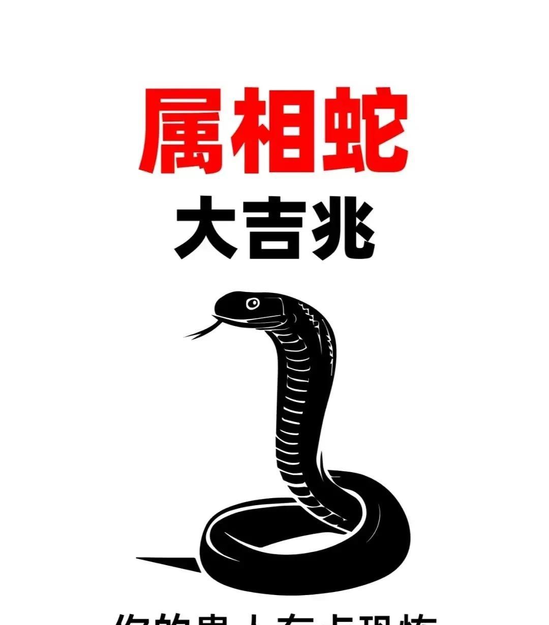 《属相蛇》大吉兆！近期有大变故！！！
  1. 从现在起，你将迎来事业的飞跃期，