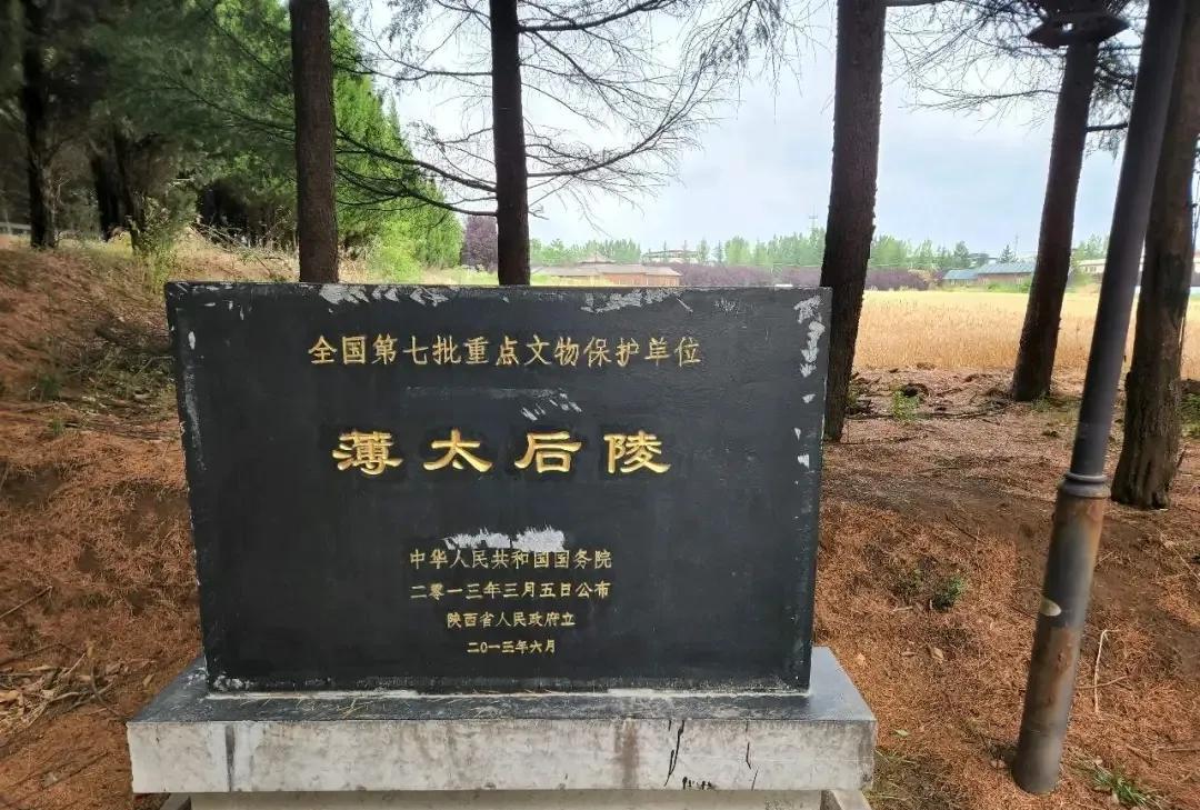 公元前155年薄姬逝世。她遗愿葬于白鹿原一处高地：“东望（高祖）长陵，西顾（文帝