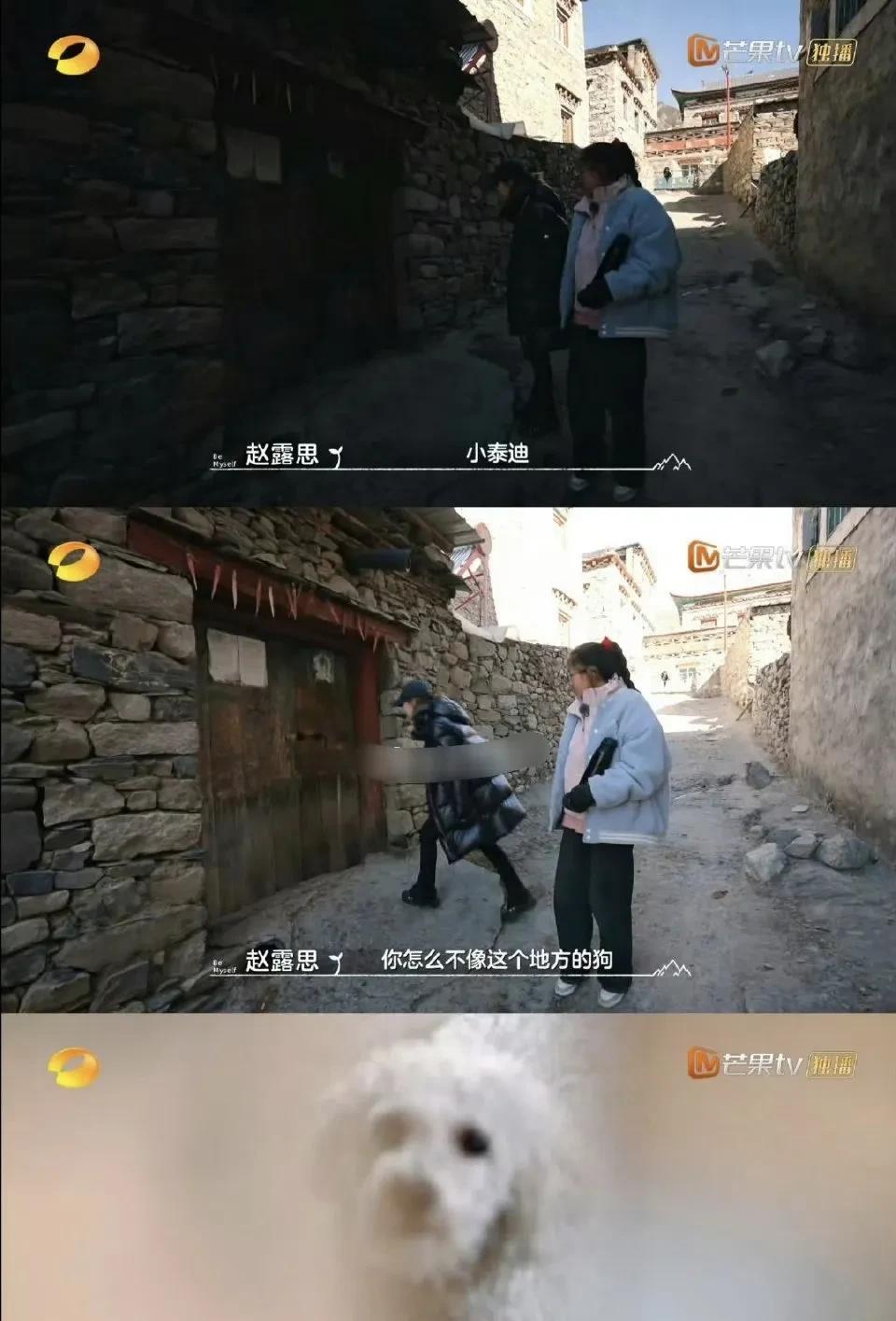 明星上真人秀还是悠着点吧，尤其是肚里没多少文化的流量明星。
张艺兴，赵露思上纪实