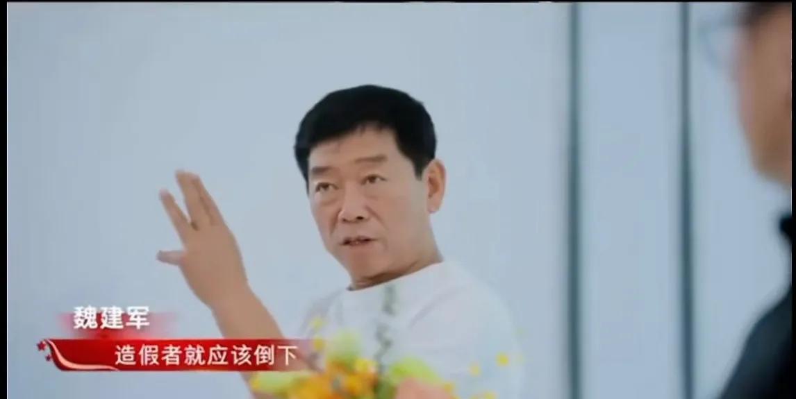 我知道魏建军说的下一个倒下的车企是谁了，财务造假、不诚信、产品造假这三条不就是说