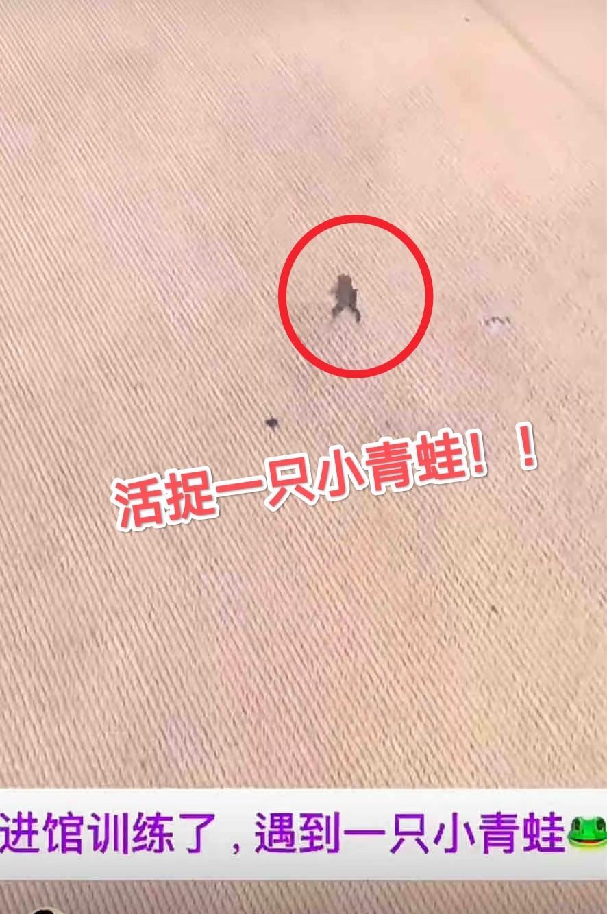 真的是没有对比就没有伤害！看看欧锦赛和亚锦赛的场地对比！！
看看欧锦赛已准备好的