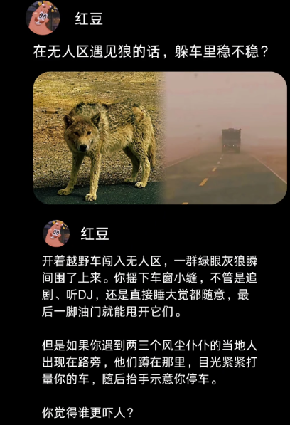 在无人区遇见狼的话，躲车里稳不稳?
