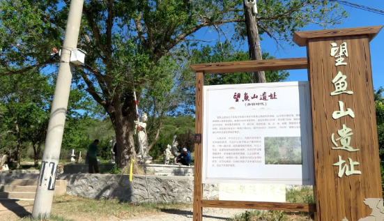 大连大黑石望鱼山遗址

望鱼山遗址位于营城子街道大黑石村望鱼山南坡和东南坡，山北