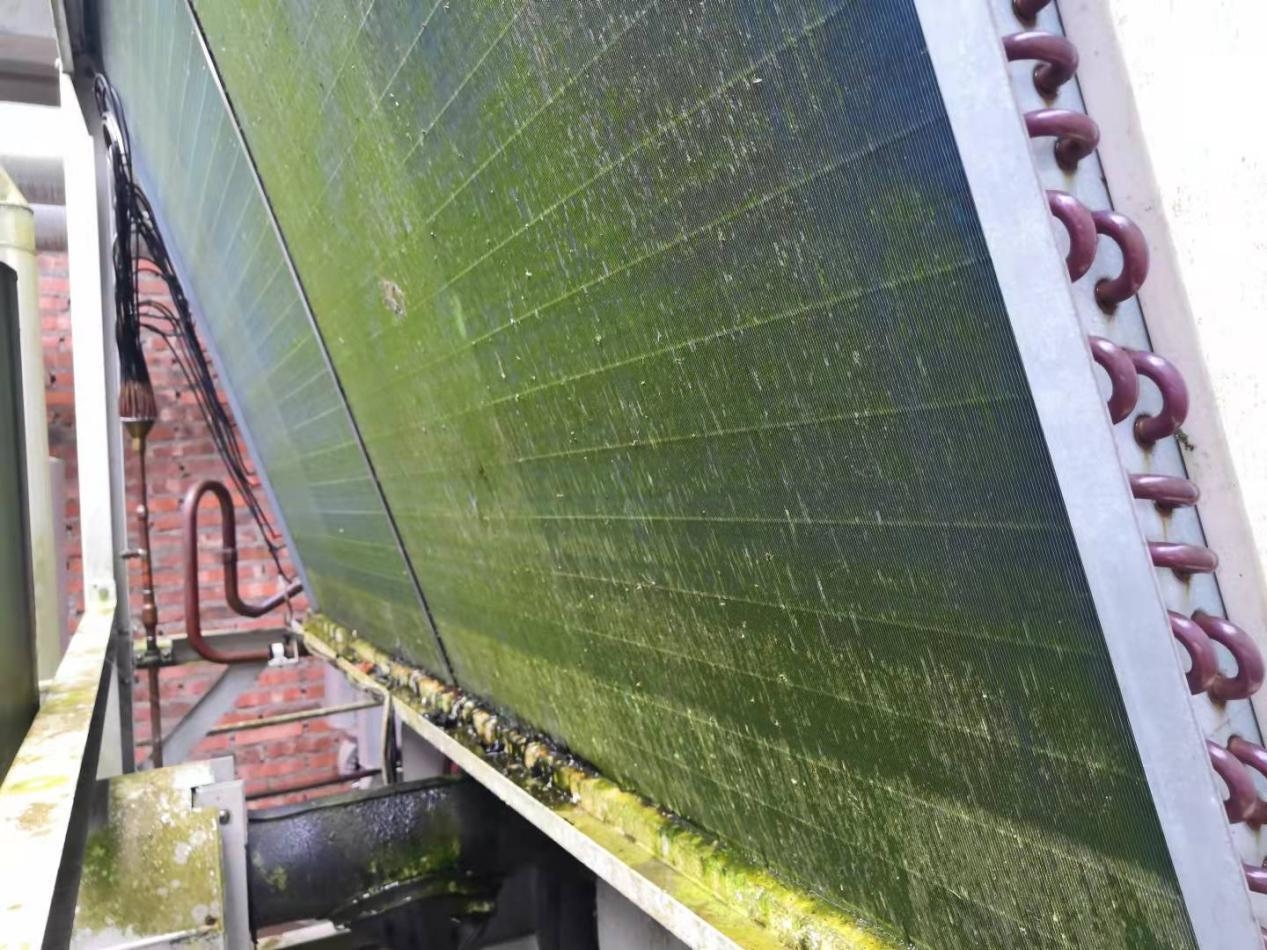 酒店中央空调维保费用高？根源是基础保养没做好！