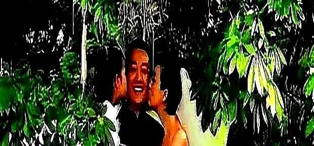 撒贝宁一句话，戳穿了辛柏青丧妻后真实处境，也给娱乐圈上了一课。

剧组场务老