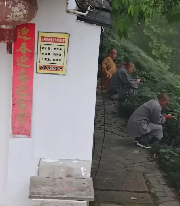 前年在公司边上小庙拍的，人手一只
