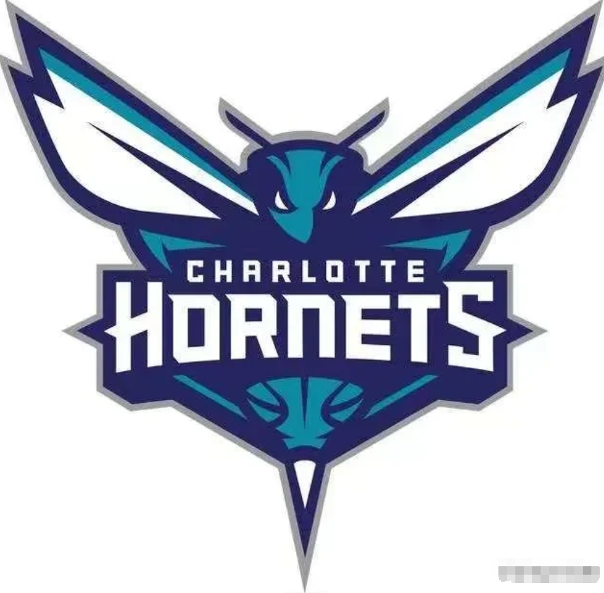 NBA最不应该存在的球队应该是黄蜂队，几乎毫无存在感，整个球队历史上找不出一位N