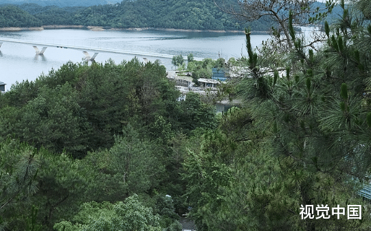 未婚妻为了助理羞辱我后，她发现我们真的完了…