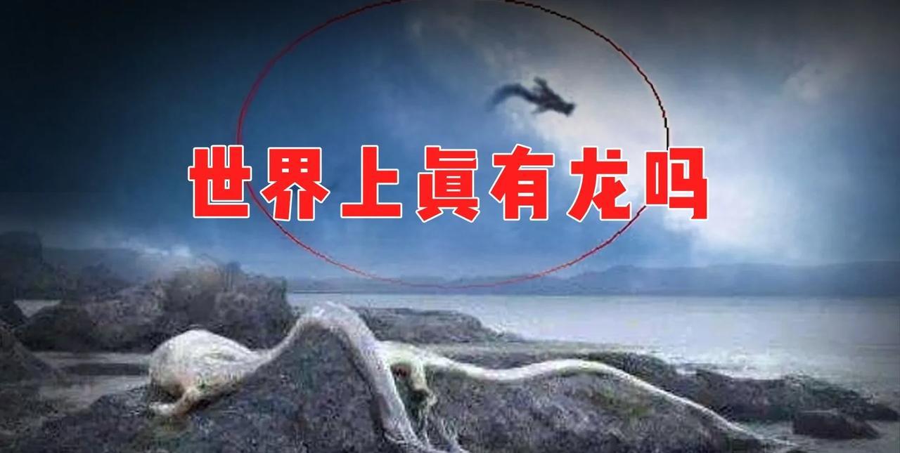 有一个话题，叫龙真的存在不？
从古至今，关于龙的话题连绵不绝。
古时候，对龙的信