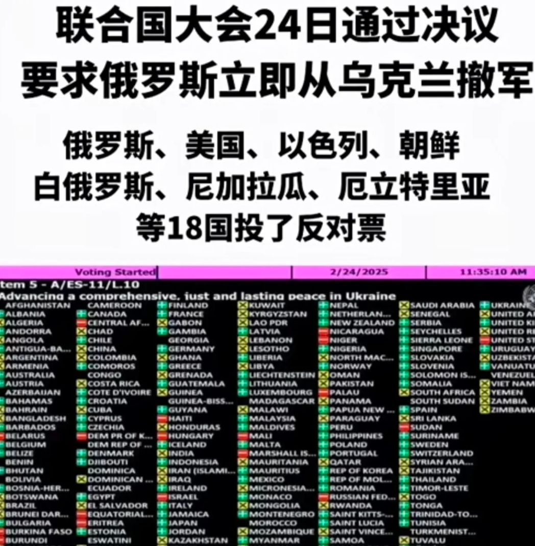 新消息联合国在24日举行了全体成员国投票表决“俄罗斯定义为侵略国，要求俄罗斯立即