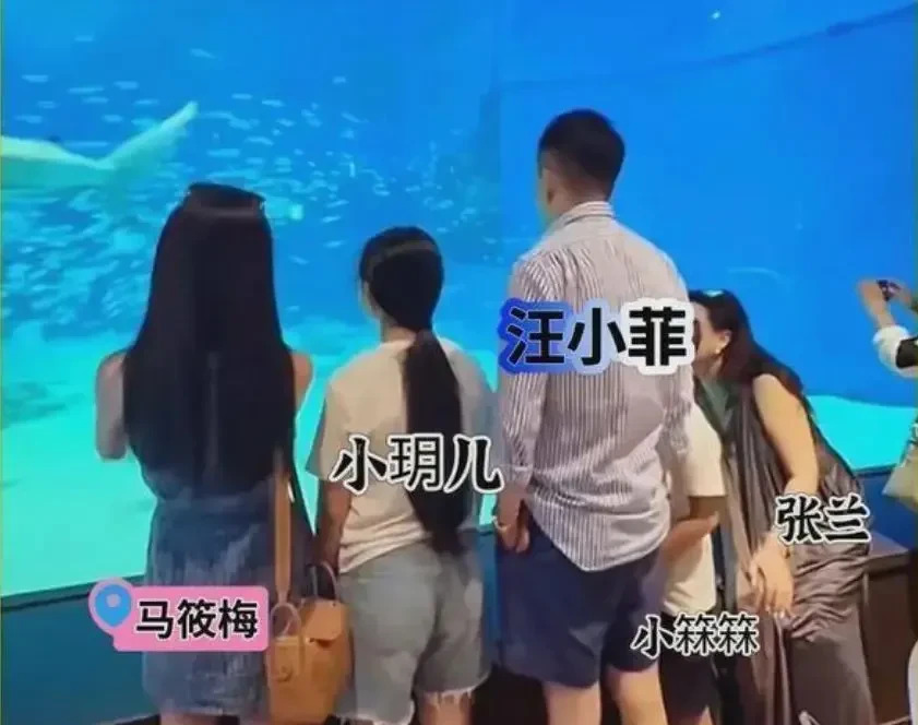 大S孩子留台汪小菲奔波











我的天哪！这剧情简直比电视剧还精彩