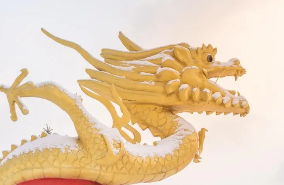 中国龙真的存在吗？

中国龙，神秘又迷人，在历史文化里的地位那可是相当重要。从新
