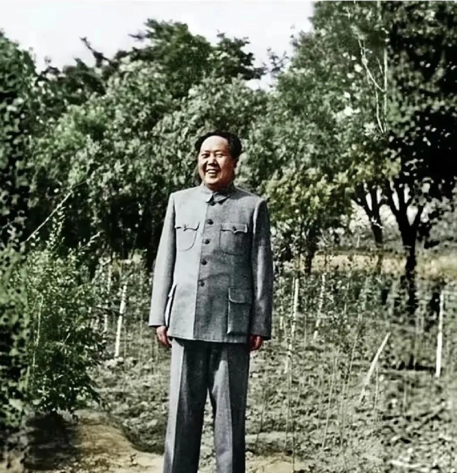 1951年夏，北京郊区农村一片蓬勃景象。此时新中国成立不久，土地改革等政策逐步推