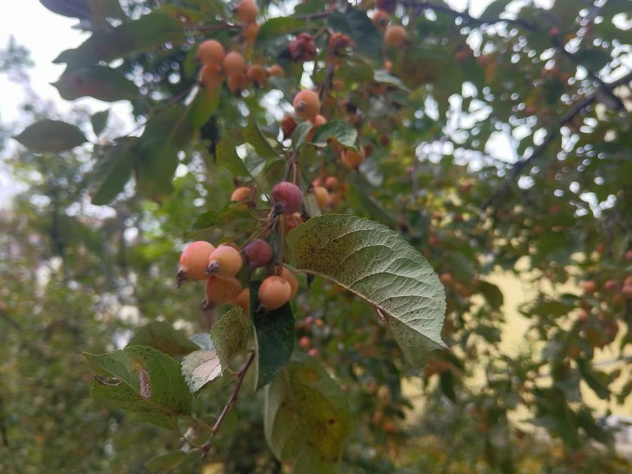 现在的婆婆们，活得确实不如保姆。
一，保姆每天吃东家的饭，喝东家的茶，每月还有对