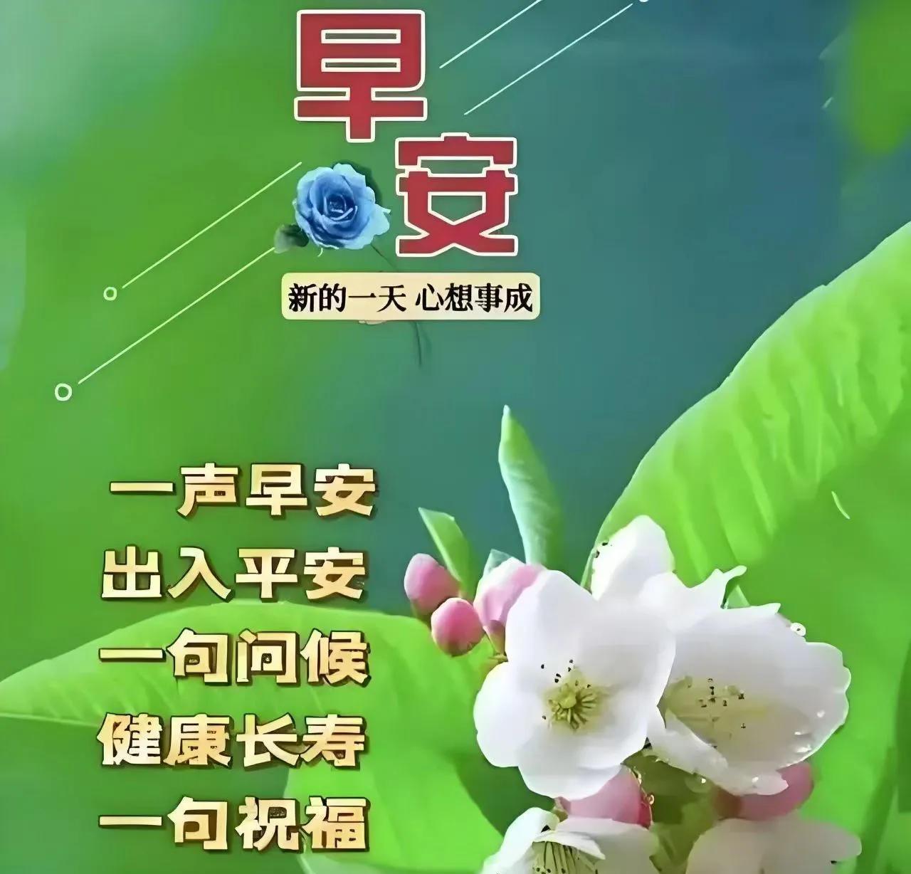 夏日快乐
今天是2025.7.31
 [玫瑰]周四愉快[玫瑰]
夏日之晨，带着清