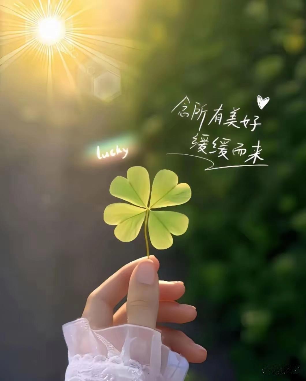 善良与喜欢都是免费的，但不是廉价的！
