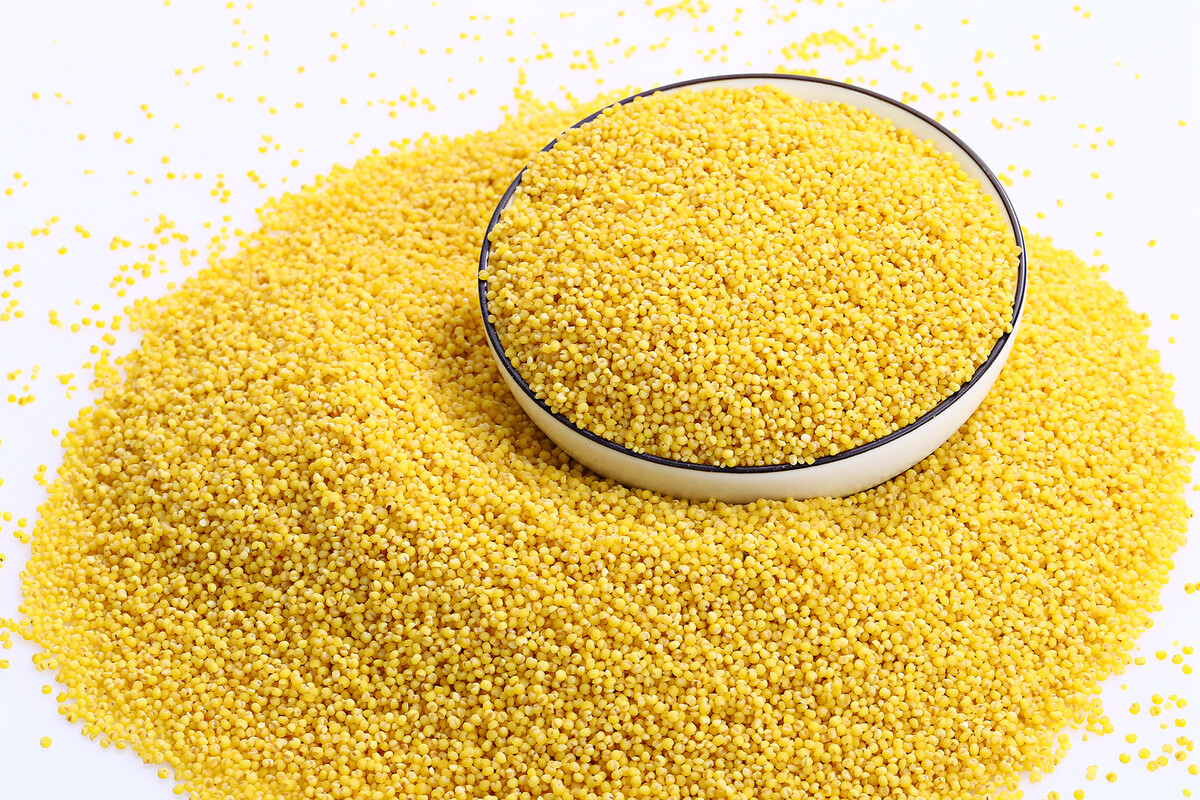 很多糖尿病人每次吃饭时，总担心米饭升血糖太快，为了控糖，甚至不敢吃主食。其实，完