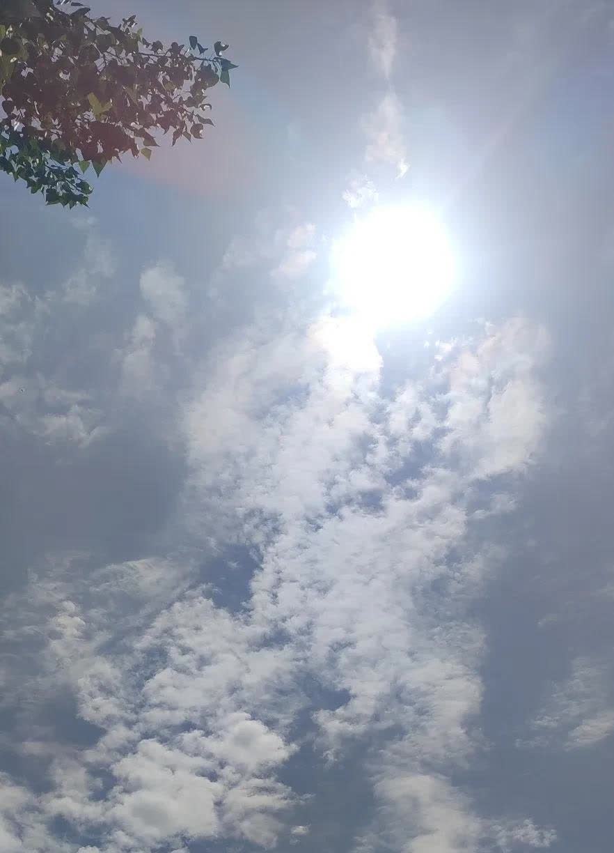 最近一段时间，发现天津卫视的一档节目，《爱情保卫战》的主持人赵川一直没有出现，取