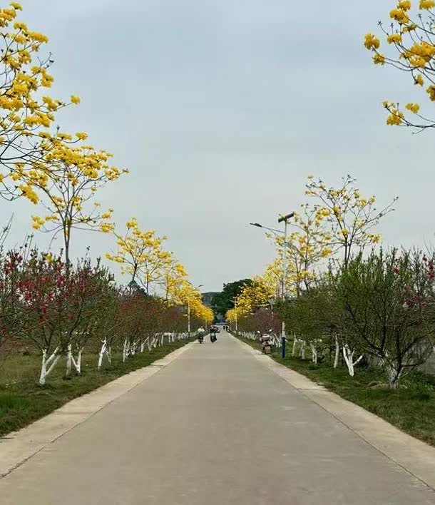 五一出行，为了大家的安全起见，给车主们几点启示:
1、如果没什么急事，尽量避免