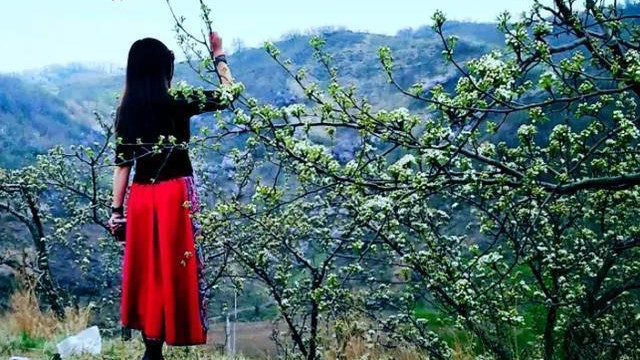 一个农村老人病了不想去医院，孙子媳妇跪求他去，此事让人深思