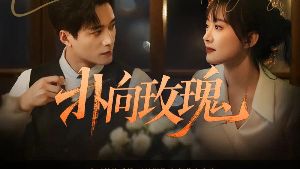 热门短剧《扑向玫瑰》短剧：王皓祯×侯呈玥的甜蜜爱情之旅，77集浪漫来袭！