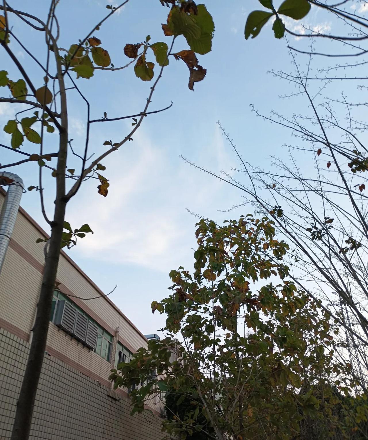 好悲催的三大生肖
生肖这东西，说它影响命运有点玄乎。就拿生肖鼠来说，都说它机智灵