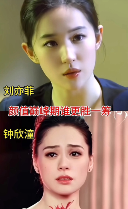 是不是北方人更喜欢刘亦菲？我广东的一直不觉得刘亦菲有啥特别的，可能从小到大看香港