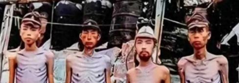 1945年，日军被苏联红军被押往了寒冷的西伯利亚，后来，活下来的日军战俘哭着回忆