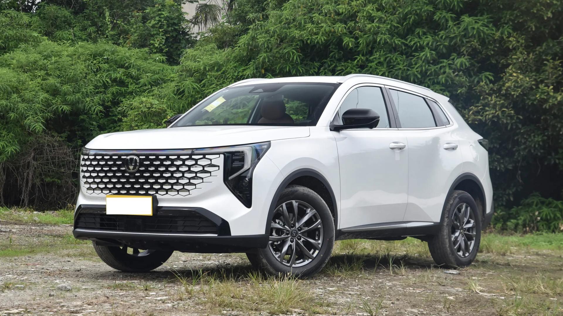 外观/内饰焕然一新，1.5T新蓝鲸发动机，权益价7.89万元起