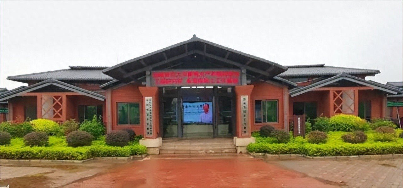 以人才为钥 看番禺解锁乡村振兴密码