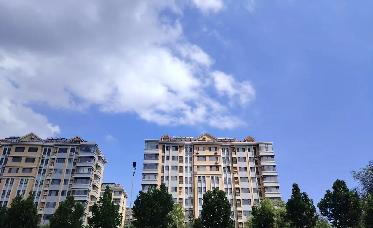 早晨看着天气不错，就计划去早市买点儿新鲜的蔬菜和水果。
到了早市，我心里还在想，