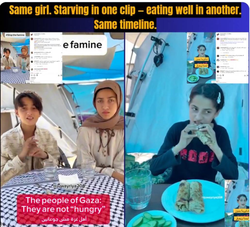 同一个女孩，一条视频在卖惨，描述自己饿着肚子，另一条视频吃着美食，或许在晒朋友圈
