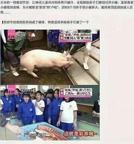 日本文化总是给人一种恶心的感觉。
几年前，日本有一档节目本意为培养孩子们的爱心和