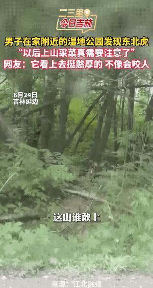 老虎 ：我在蹲坑，你在干嘛？
这山谁敢上，你不是上来了吗？不过，他是本地的，是虎