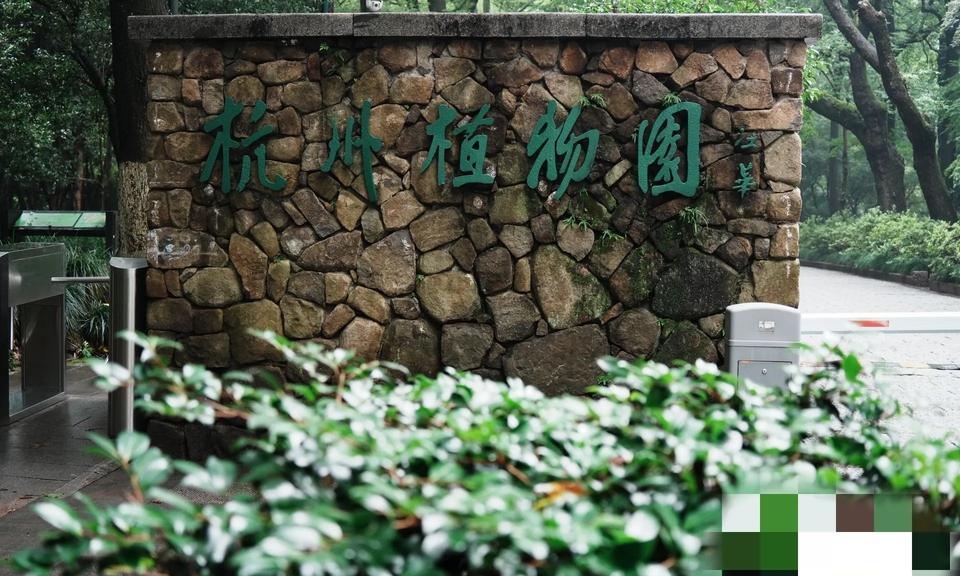 今天西湖日 杭州植物园 岳王庙