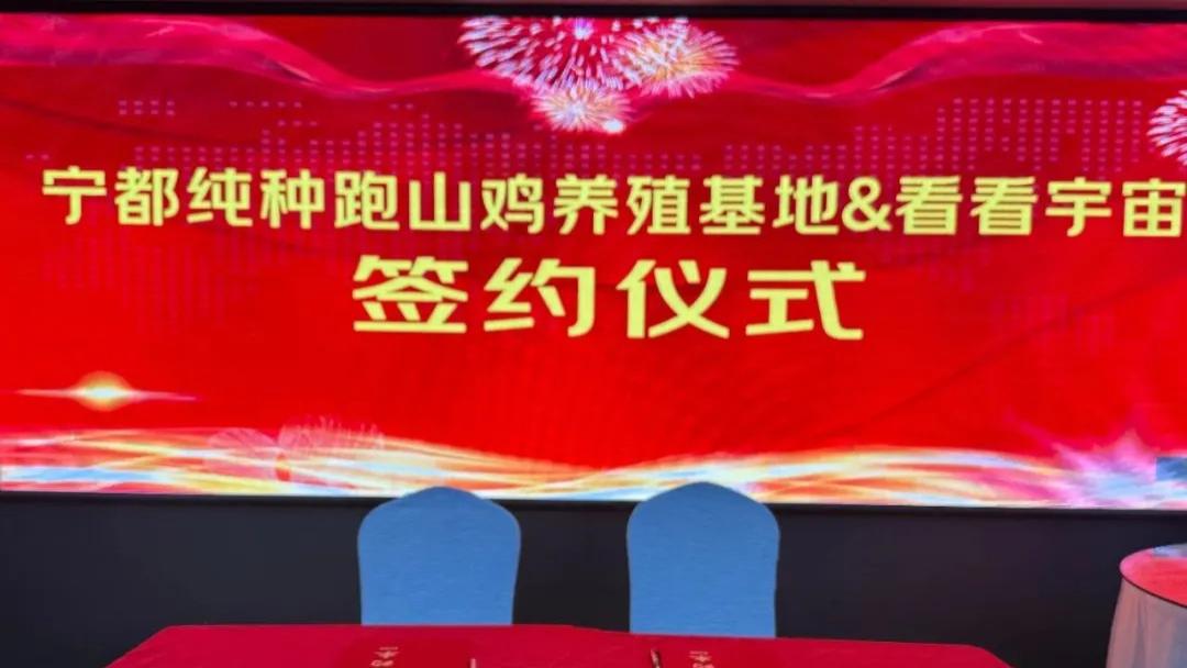 宁都纯种跑山鸡养殖基地与看看宇宙达成战略合作！