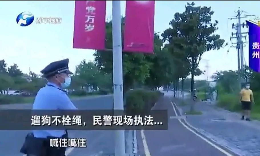 贵州一个地方执法人员上街整治违规养狗。
河南电视台都市频道播放的视频，在贵州一个