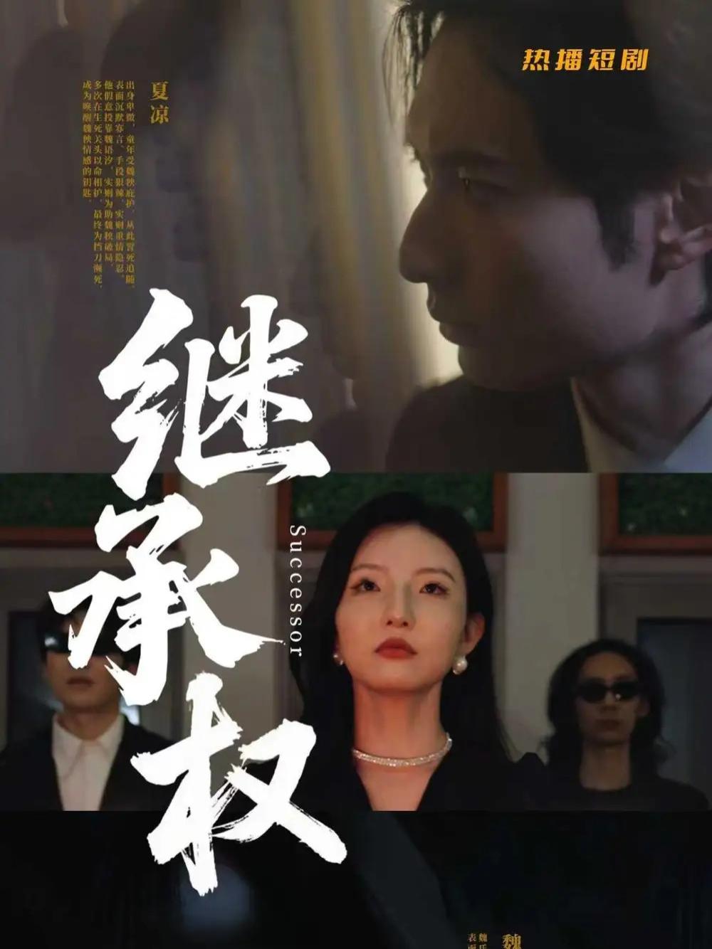 精彩短剧《继承权》继承权青春的遗产之争
